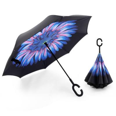 Reversible Umbrella